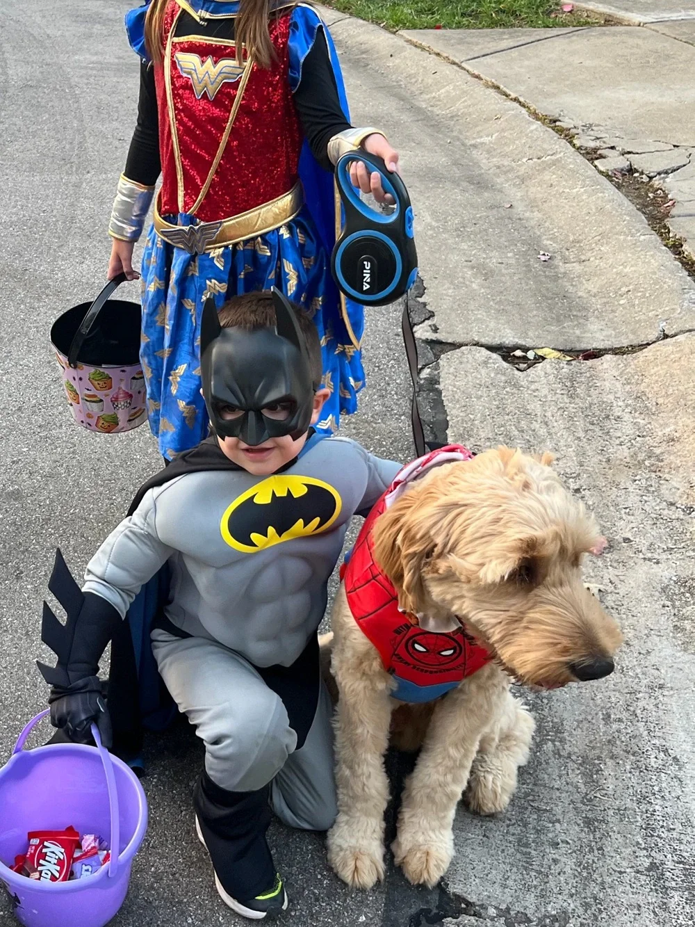 Dog Spider-Man Costume Hoodie
